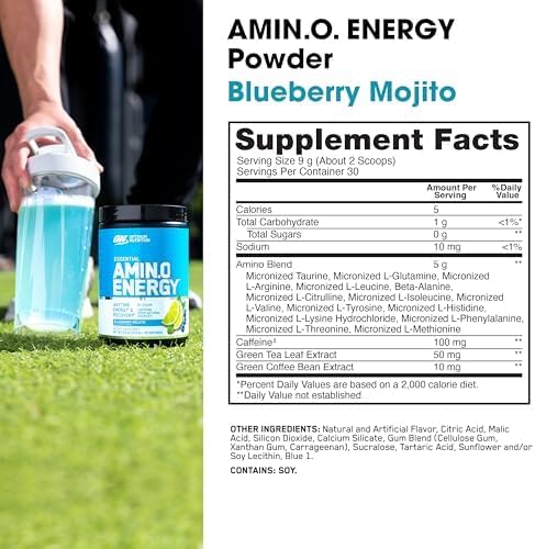 Optimum Nutrition Amino Energy - Pre Workout with Green Tea, BCAA, Amino Acids, Keto Friendly, Green Coffee Extract, Energy Powder - Blue Raspberry, 30 Servings (Packaging May Vary)