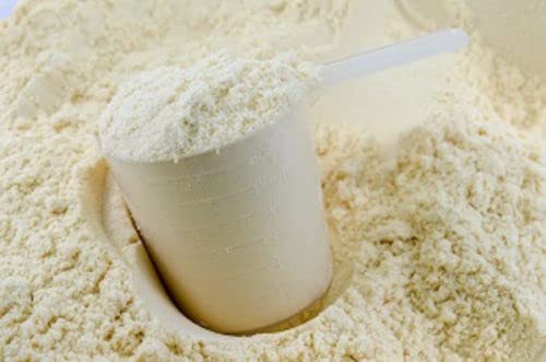 Goliath Labs GL 100% Whey Protein Powder 20 lb (Chocolate)