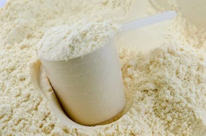 Goliath Labs GL 100% Whey Protein Powder 20 lb (Chocolate)