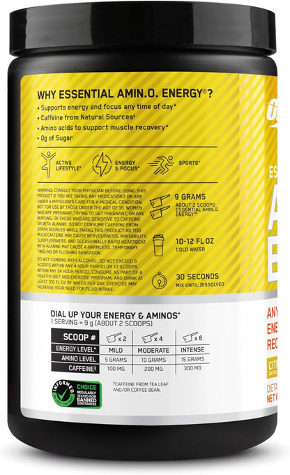 Optimum Nutrition Amino Energy - Pre Workout with Green Tea, BCAA, Amino Acids, Keto Friendly, Green Coffee Extract, Energy Powder - Blue Raspberry, 30 Servings (Packaging May Vary)