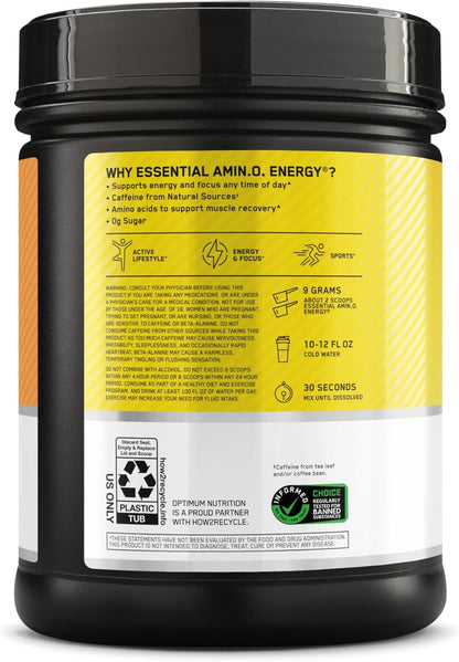 Optimum Nutrition Amino Energy - Pre Workout with Green Tea, BCAA, Amino Acids, Keto Friendly, Green Coffee Extract, Energy Powder - Blue Raspberry, 30 Servings (Packaging May Vary)